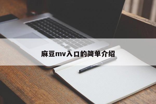 麻豆mv入口的简单介绍