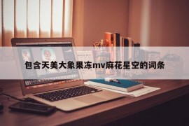 包含天美大象果冻mv麻花星空的词条