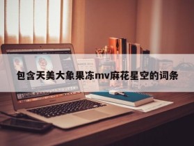 包含天美大象果冻mv麻花星空的词条